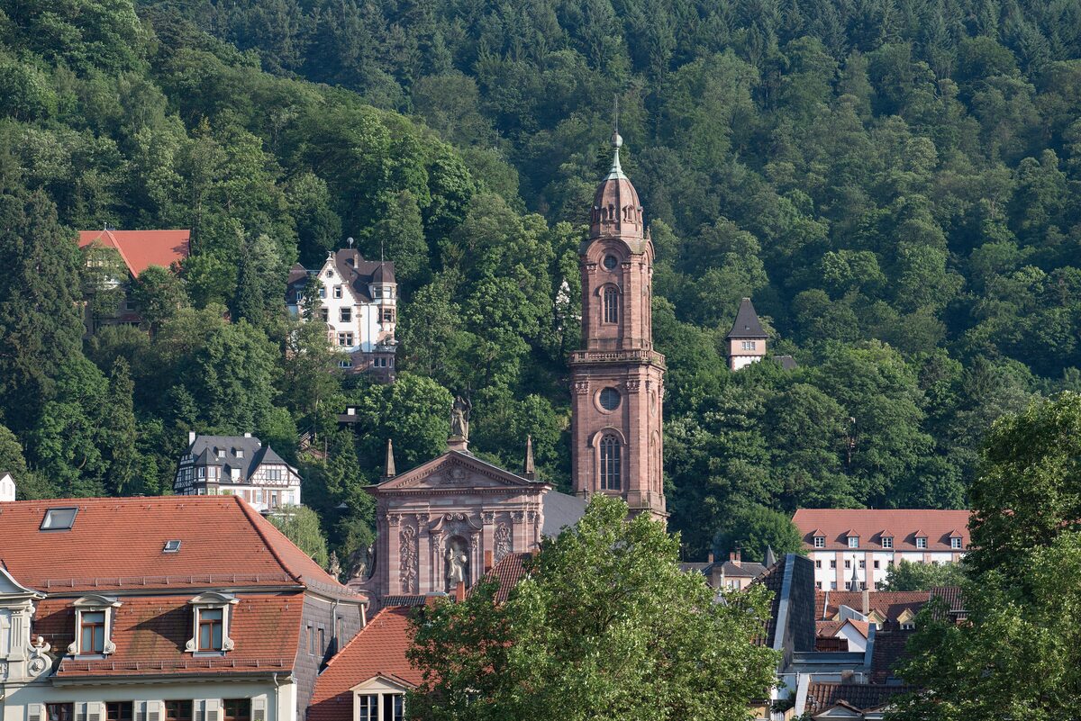 The tower and Baroque front of the Jesuit Church among the old-town roofs, with the wooded slope behind