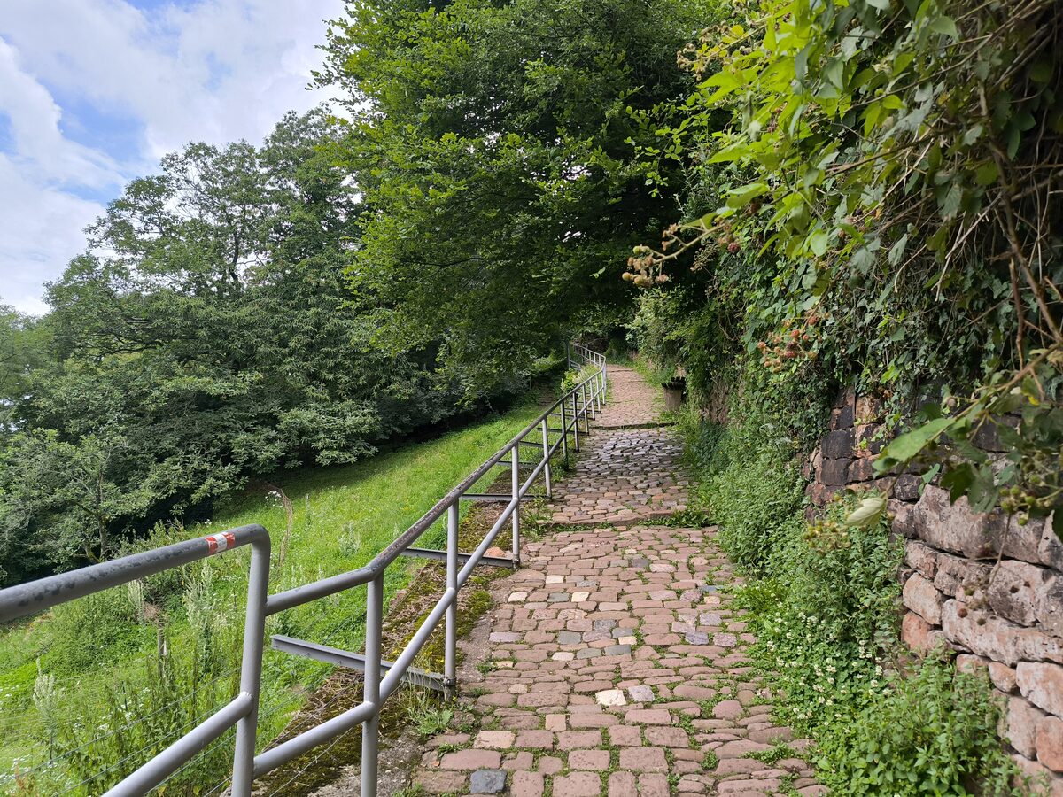 The cobbled Schlangenweg path climbing the hillside above the Neckar behind a metal railing