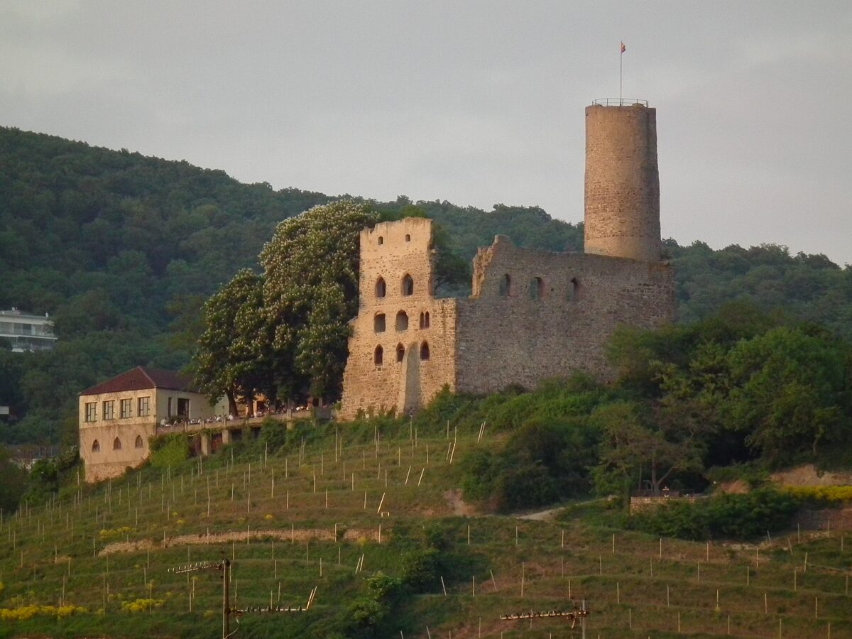 The Strahlenburg ruin and its round tower above the vineyards of Schriesheim in evening light