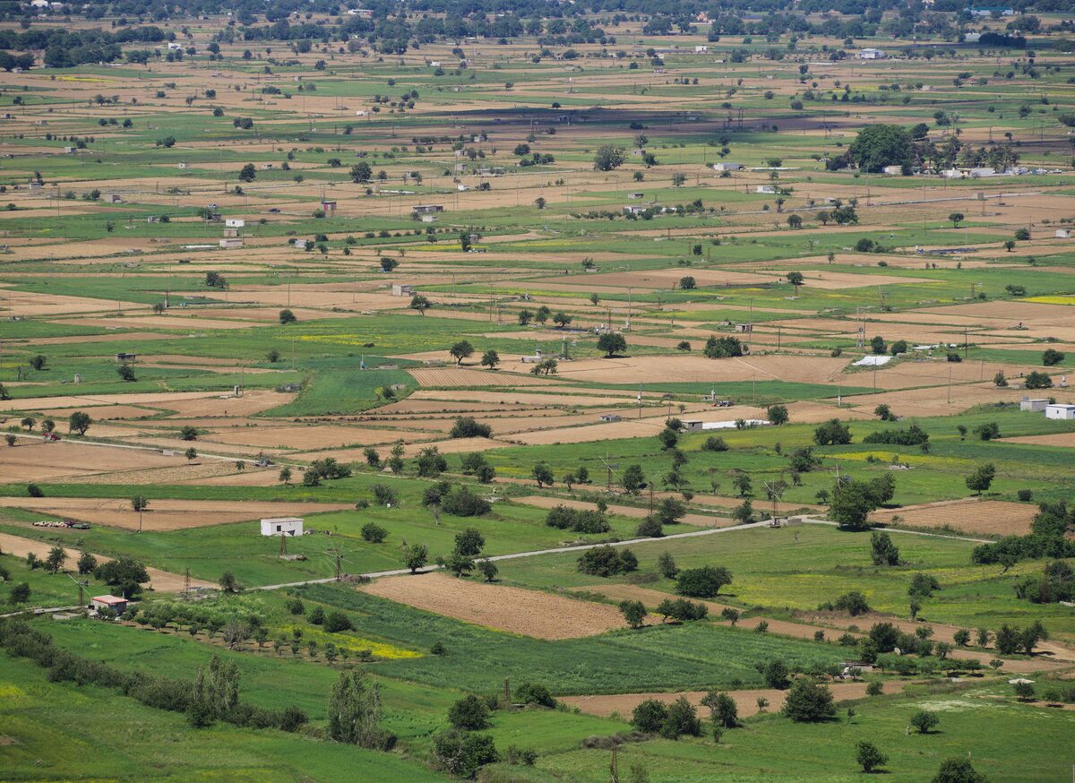The flat green Lasithi Plateau, a patchwork of fields surrounded by bare mountains