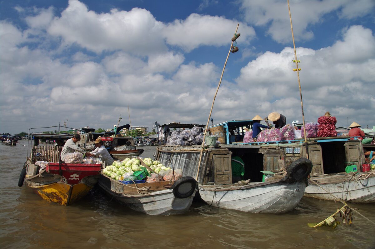 Boats loaded with cabbages and other produce moored together at the Cái Răng floating market under a blue sky