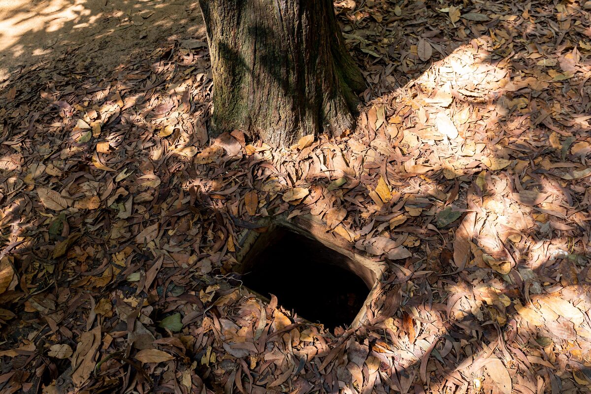 A small square tunnel entrance hidden among fallen leaves beside a tree trunk at the Cu Chi Tunnels