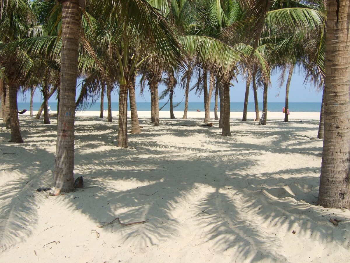 Coconut palms casting shadows on pale sand at Cua Dai beach, with a strip of blue sea beyond the trees