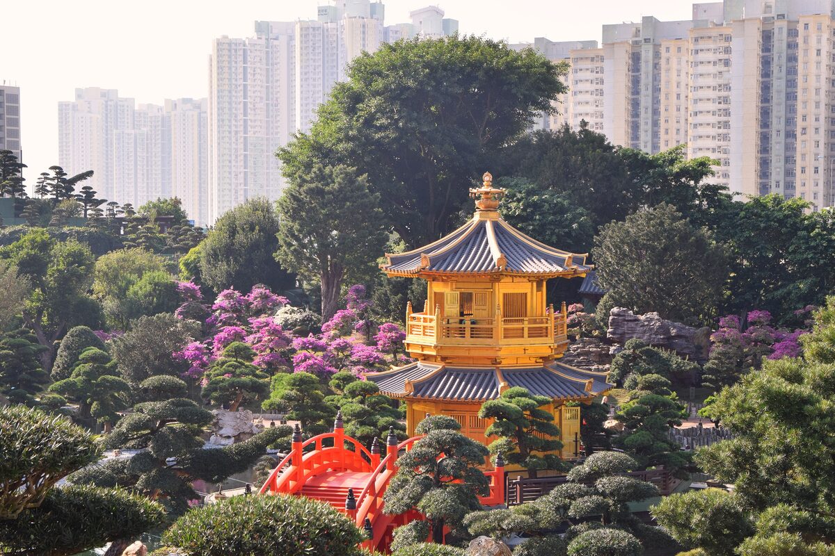 The golden pavilion and red bridge of Nan Lian Garden among sculpted trees and flowering bushes, with housing blocks beyond