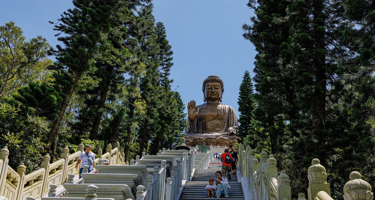 The bronze Tian Tan Buddha seated at the top of a long stone staircase between tall pines