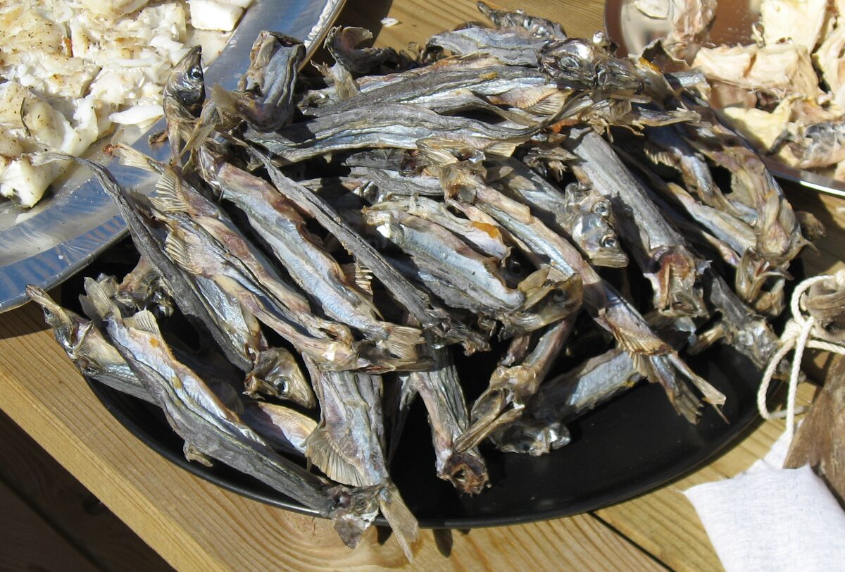Dried capelin on a tray, the small fish eaten as a snack