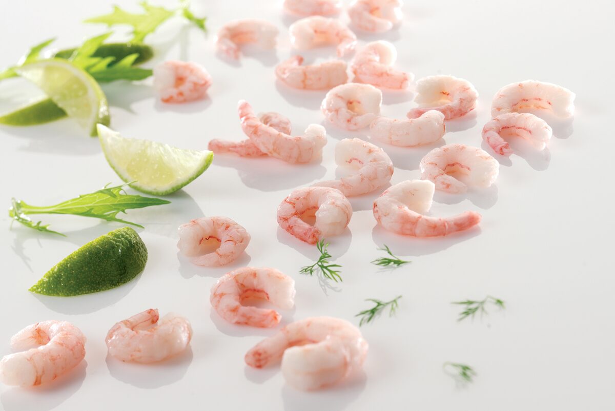 Small cold-water prawns, peeled, with lime wedges and dill on a white plate