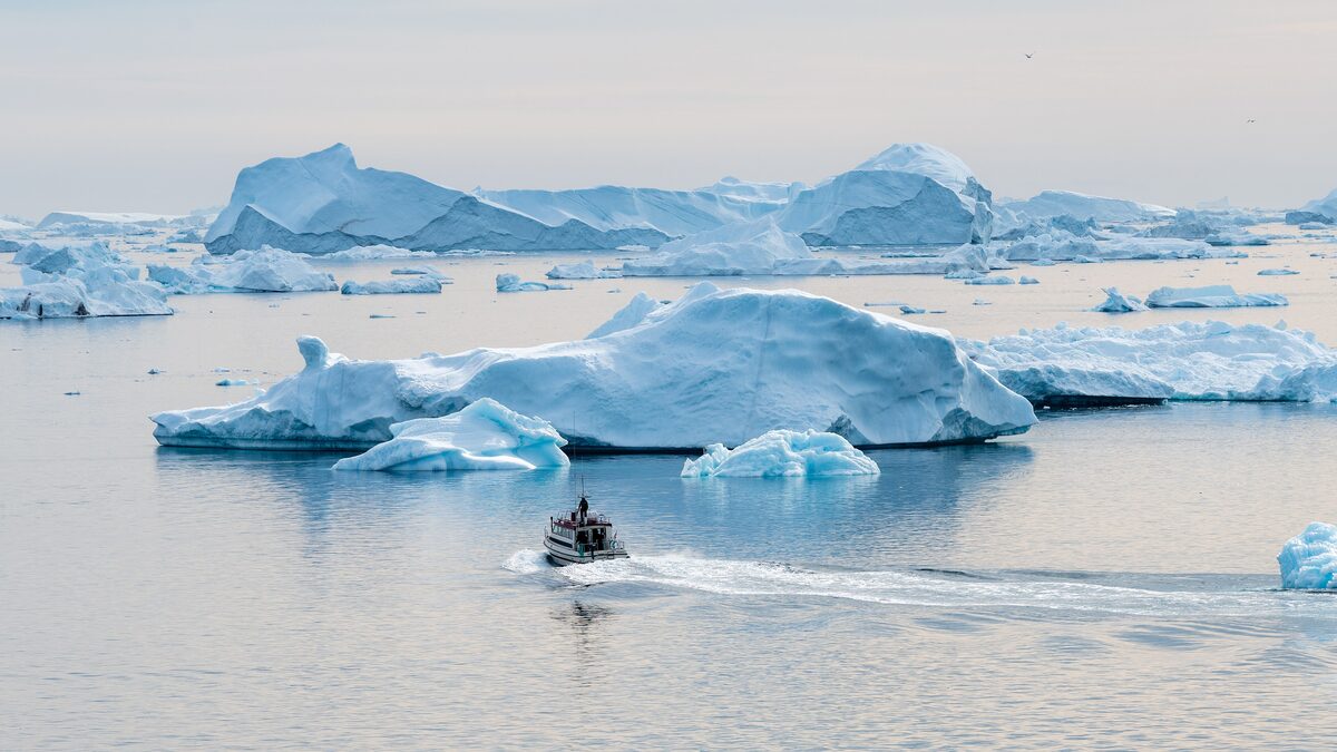 A small boat speeding through pale icebergs in Disko Bay