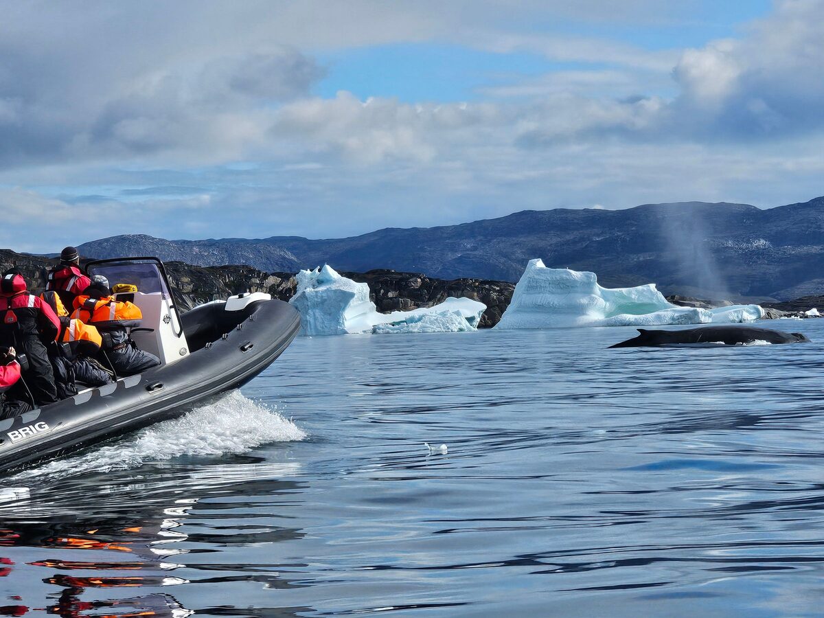 A tour boat with passengers in red suits next to a whale back and blow, with icebergs and mountains behind