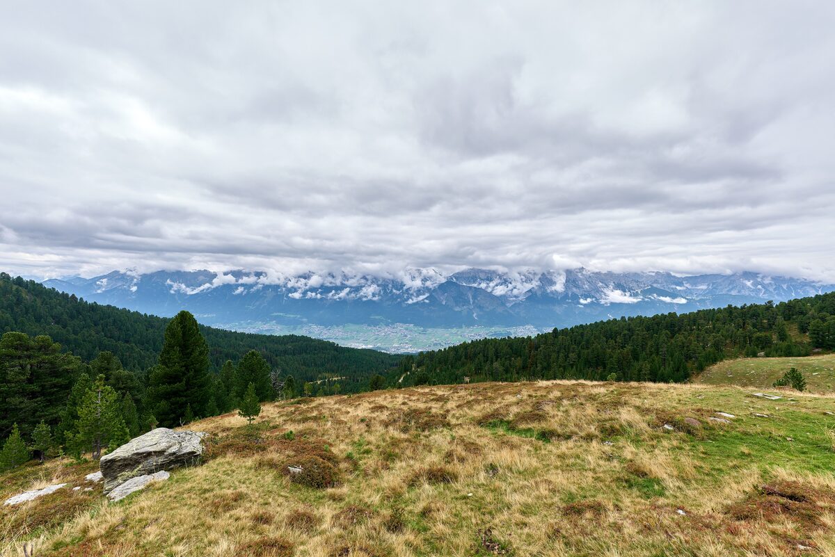 Alpine meadows and Swiss stone pines along the Zirbenweg, with the Inn valley and distant peaks under clouds