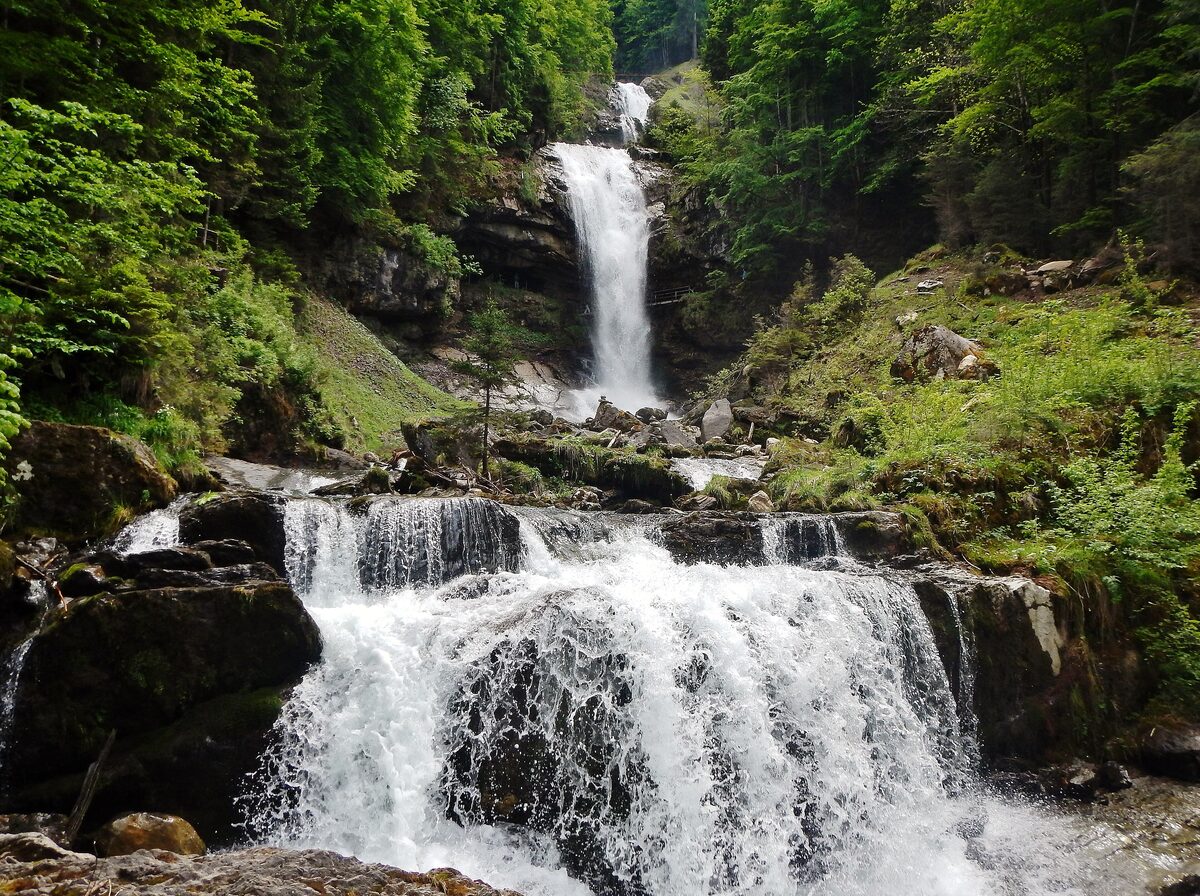 The Giessbach stream tumbling over rocks in a cascade below a taller fall, in green forest