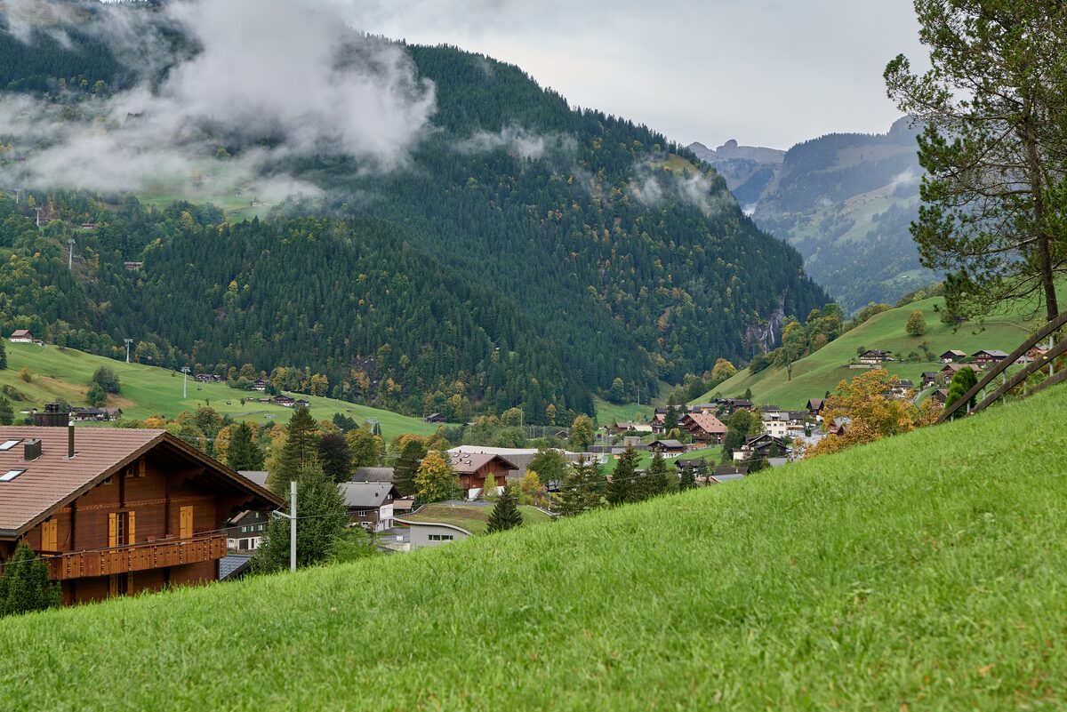 Chalets and a meadow above Grindelwald, with forested slopes and cloud drifting over the valley in autumn