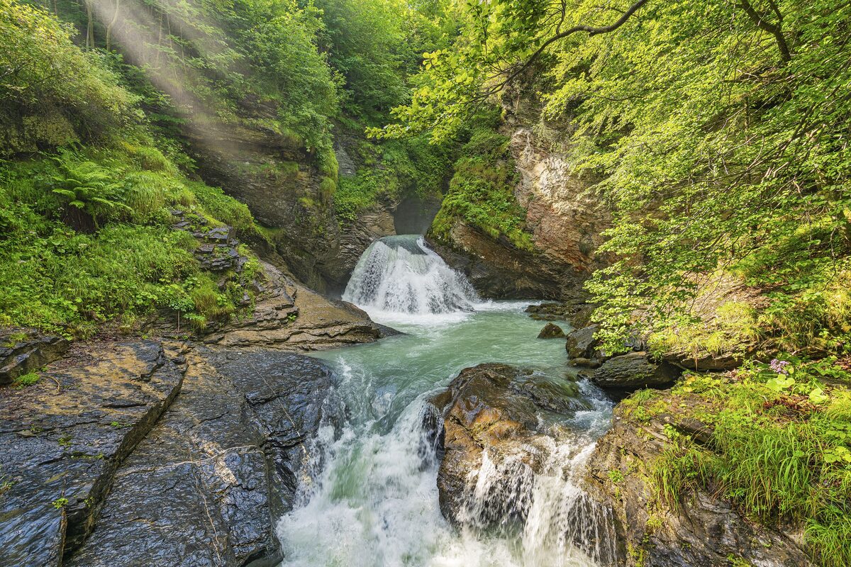 The Reichenbach Falls tumbling over rock through a green forest, with sunlight breaking through the trees