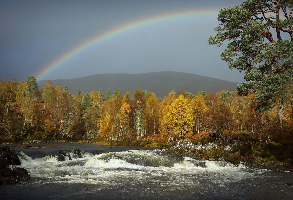 A rainbow over autumn birch woods and a rushing river in Glen Affric