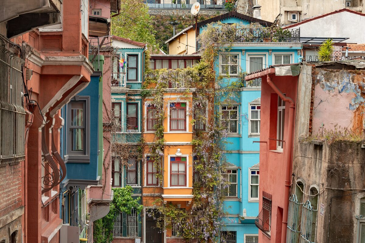 Brightly painted old houses with bay windows and climbing vines in Balat