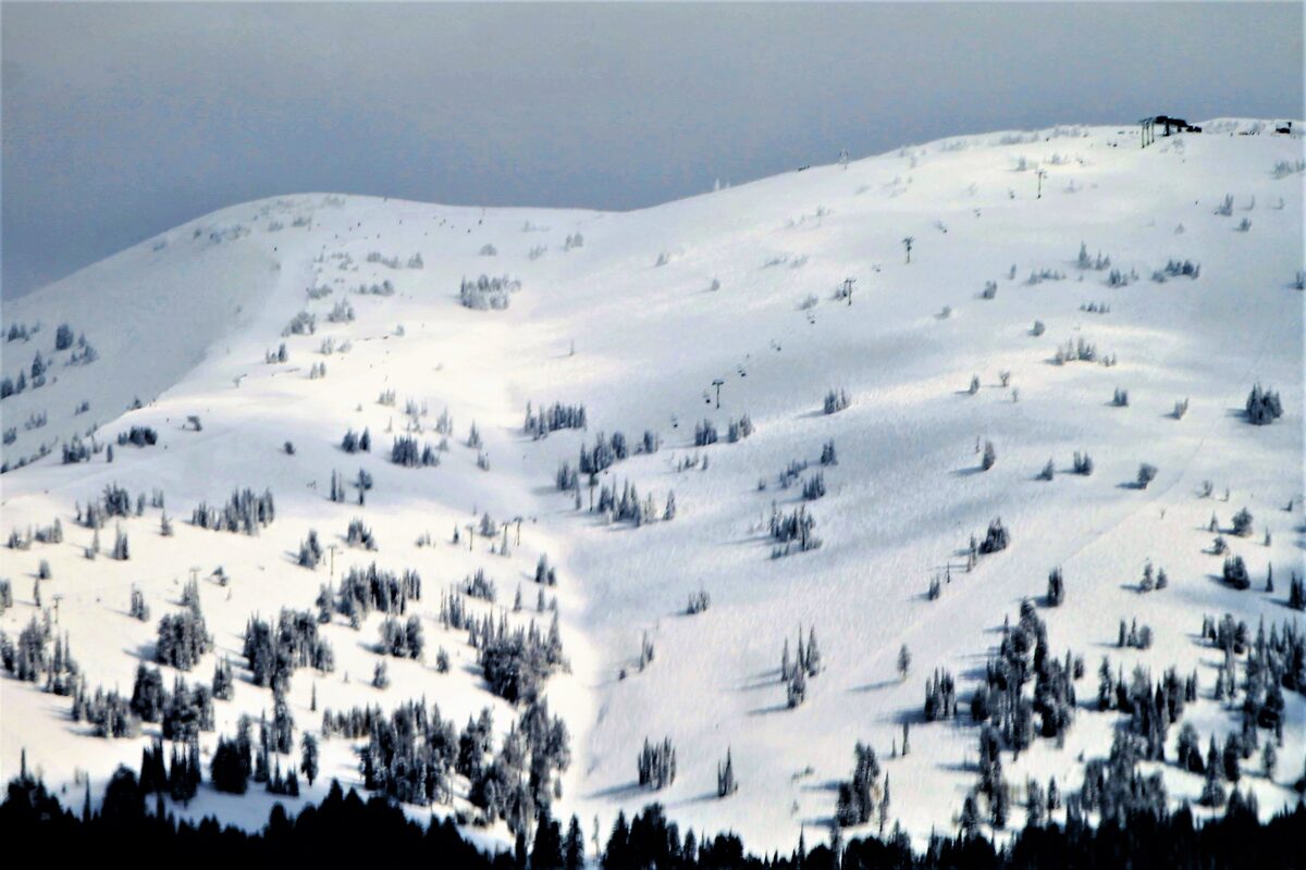 Open snowy slopes dotted with conifers at Grand Targhee Resort in winter
