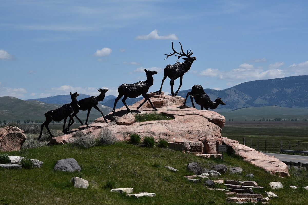 Bronze elk and deer sculptures on a rocky outcrop of the National Museum of Wildlife Art's sculpture trail, with the valley behind (summer)
