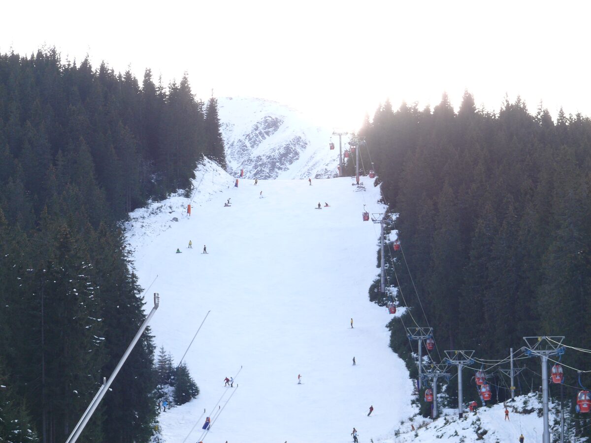 A wide snowy piste running down between spruce forest in Jasná, with skiers below