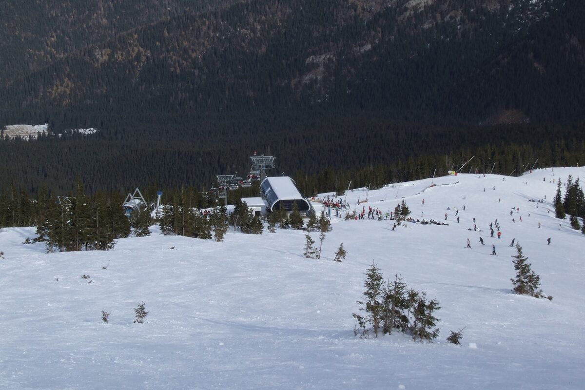 A wide sunlit snow slope with skiers and a chairlift station at the edge of the spruce forest