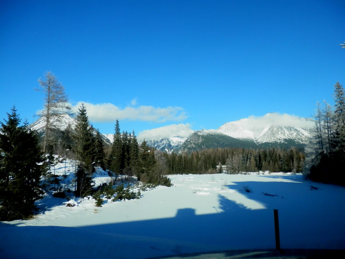 The frozen, snow-covered Štrbské Pleso lake among spruce trees, with High Tatras peaks beyond