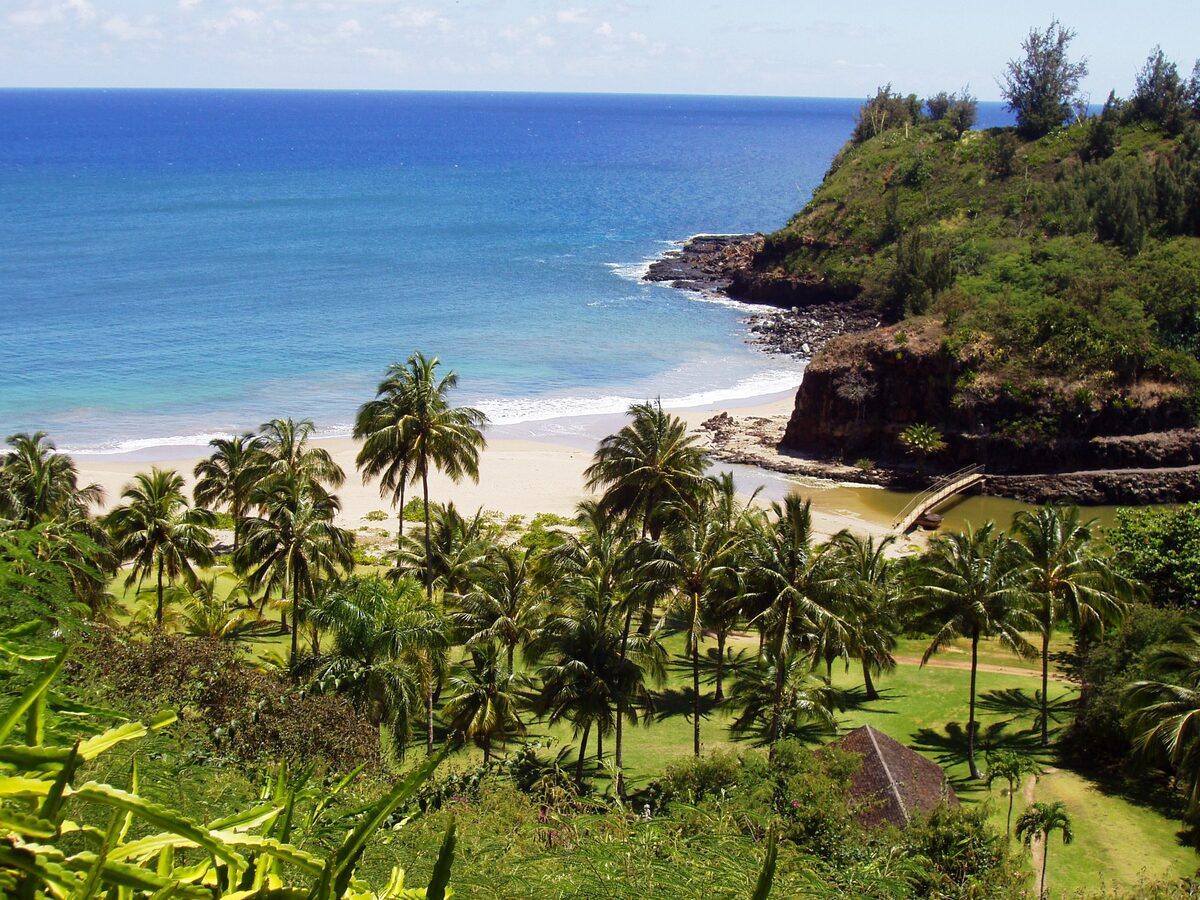 Palm-fringed cove and green lawns seen from Allerton Garden