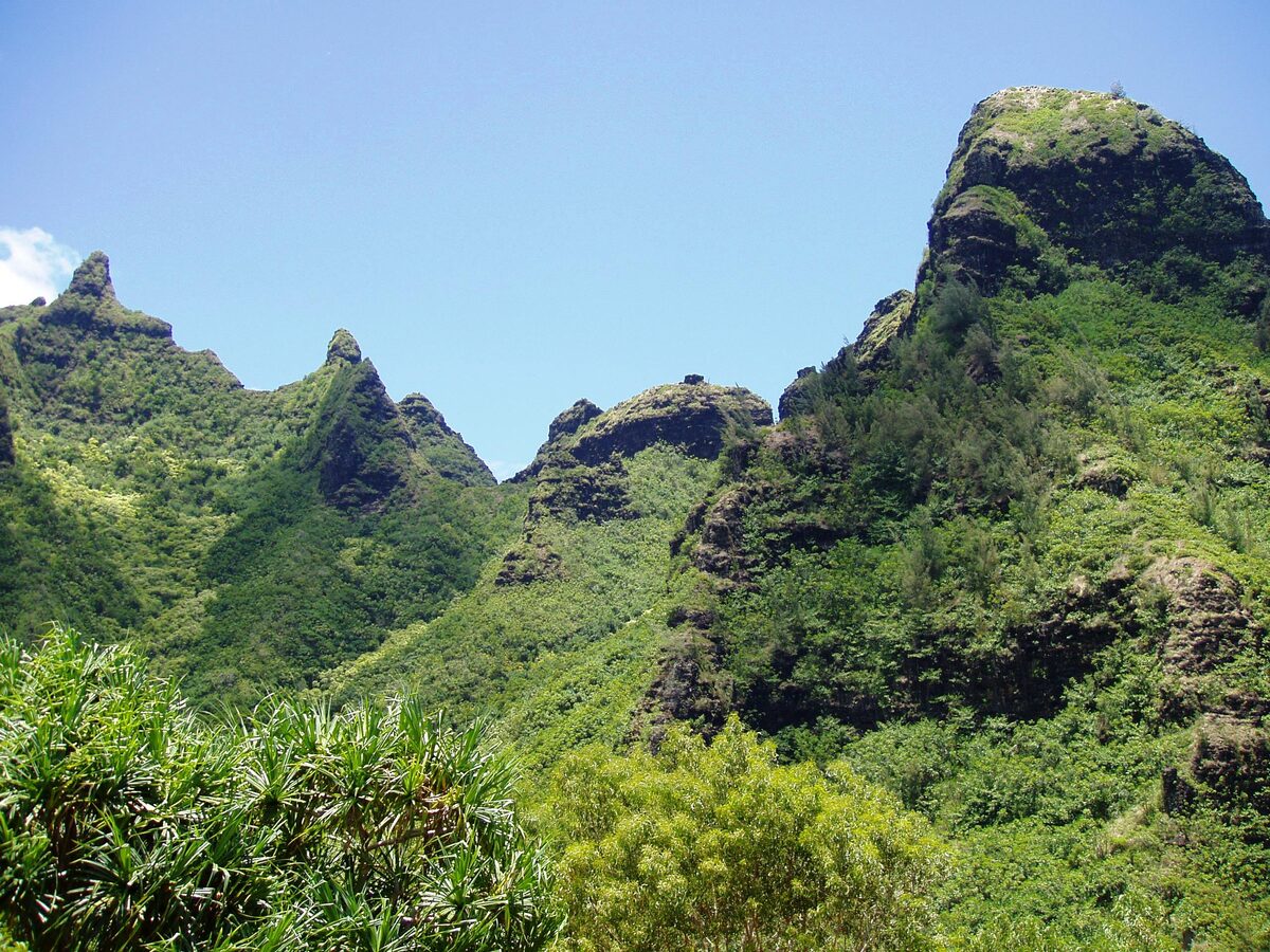 Jagged green Makana ridge above Limahuli Garden on the north shore
