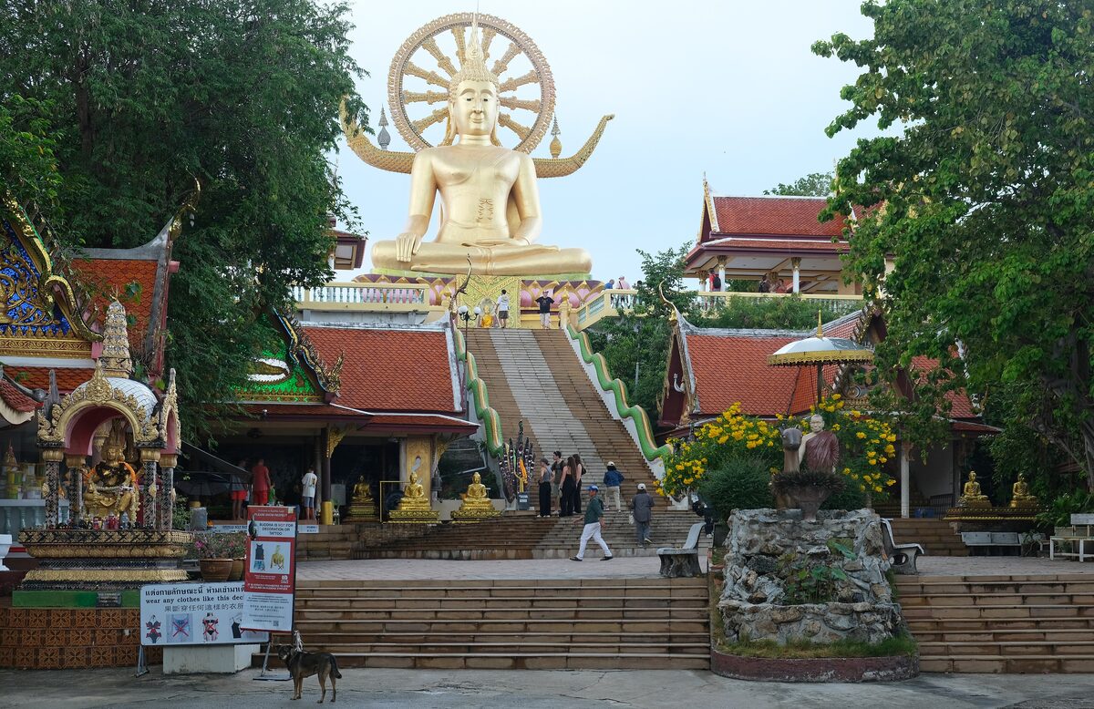 The gold Big Buddha on its hill at Wat Phra Yai, seen up the stairs past the temple roofs