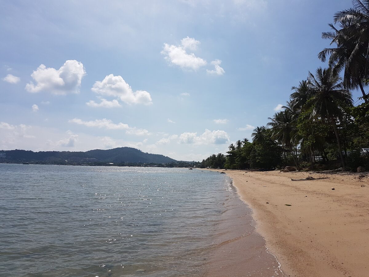 Bophut's sandy beach in bright sun, with palm trees along the shore