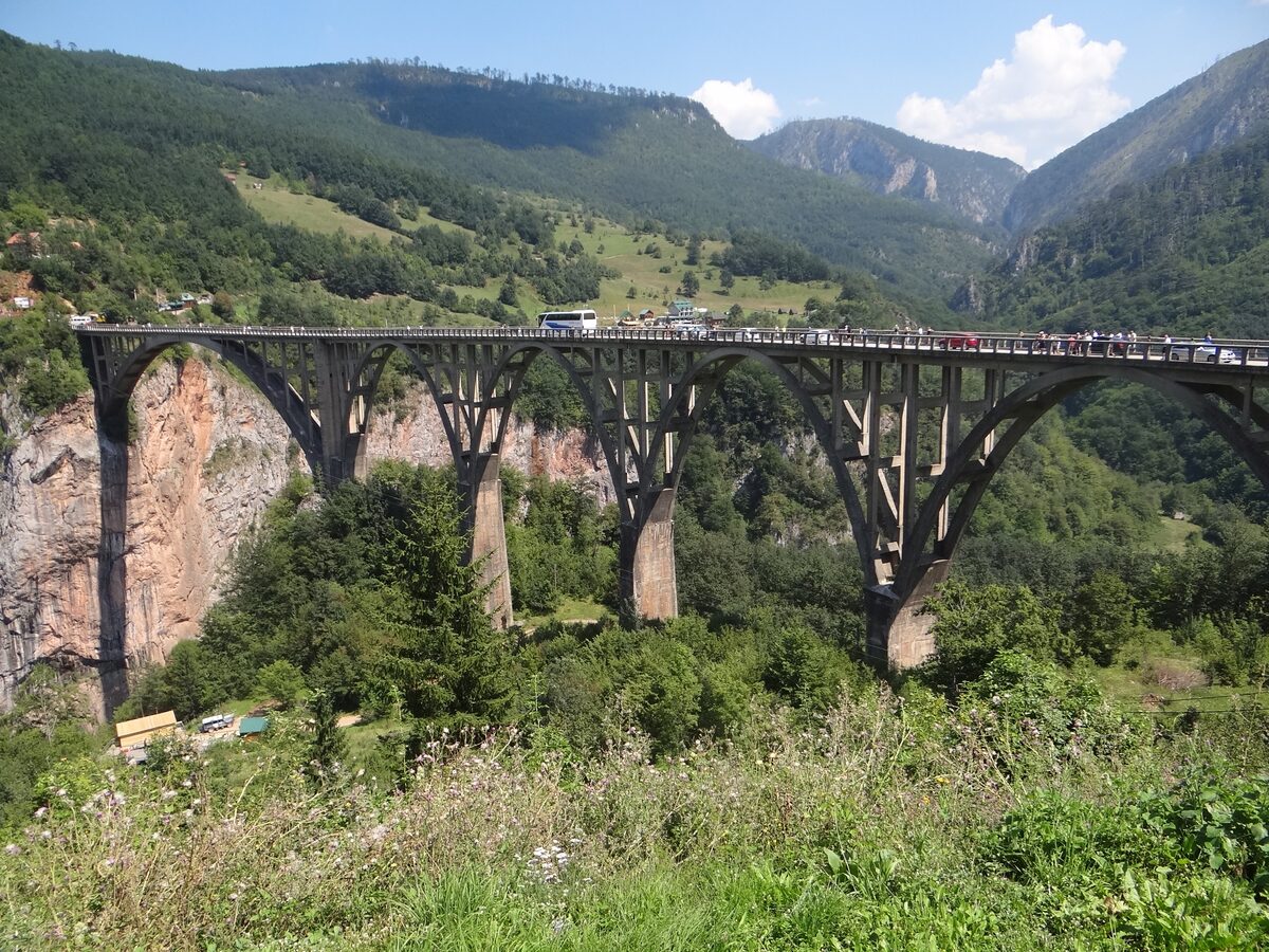 Đurđevića Tara Bridge: a long concrete arch bridge across the Tara Canyon, with forested slopes and meadows around it
