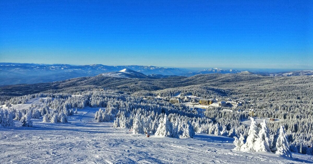 Snow-covered spruce forest and a groomed run on Kopaonik under a clear blue sky, with the resort buildings and distant snowy ridges on the horizon