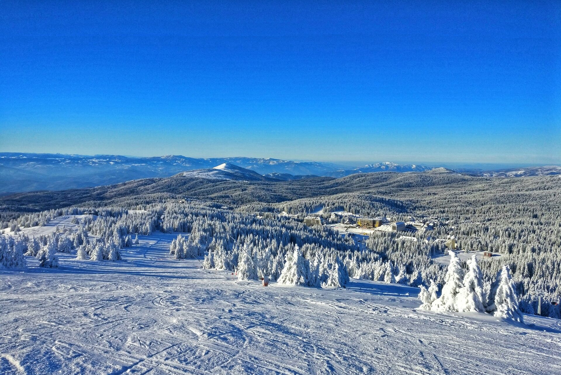 Snow-covered spruce forest and a groomed run on Kopaonik under a clear blue sky, with the resort buildings and distant snowy ridges on the horizon