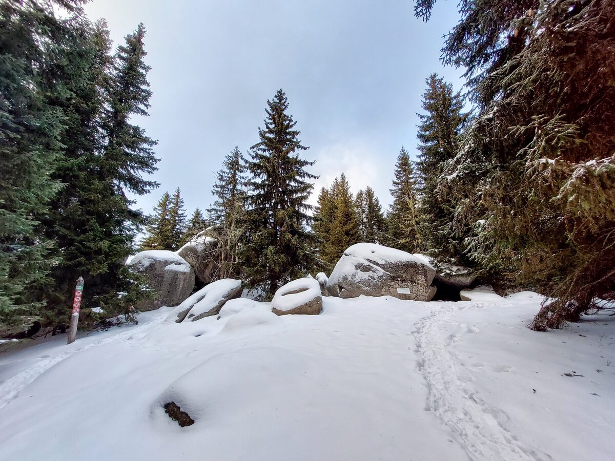 Snow-covered granite boulders among spruce trees on the path to Markove Stene, with a trail marker and footprints