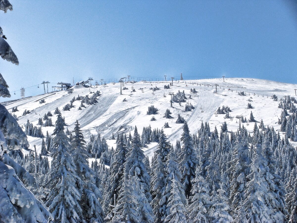 Chairlifts climbing the snowy slope of Pančićev vrh under a deep blue sky, with frosted spruce in front