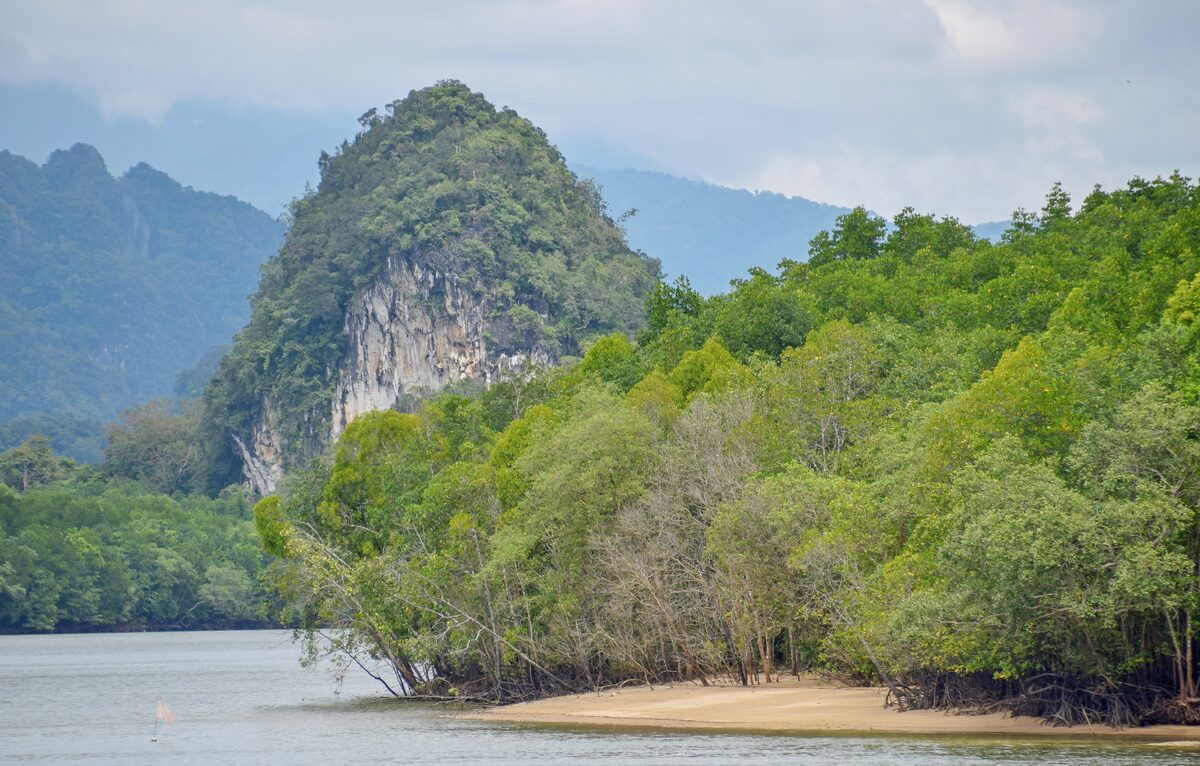 A forested limestone karst hill with a pale cliff face rises behind a green mangrove point and sandy shore at the mouth of the Krabi River