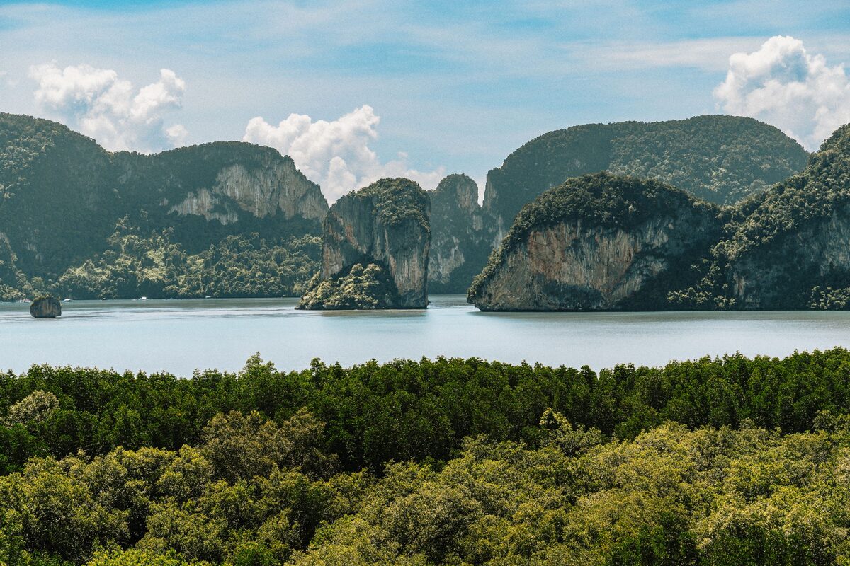 Forested limestone cliffs and islets over calm water and a belt of mangroves in Phang Nga Bay under a blue sky