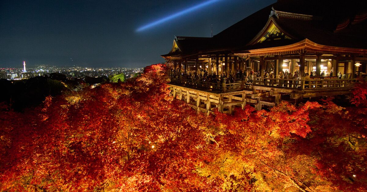 The wooden stage of Kiyomizu-dera lit at night in autumn, with red maples below and Kyoto's lights beyond