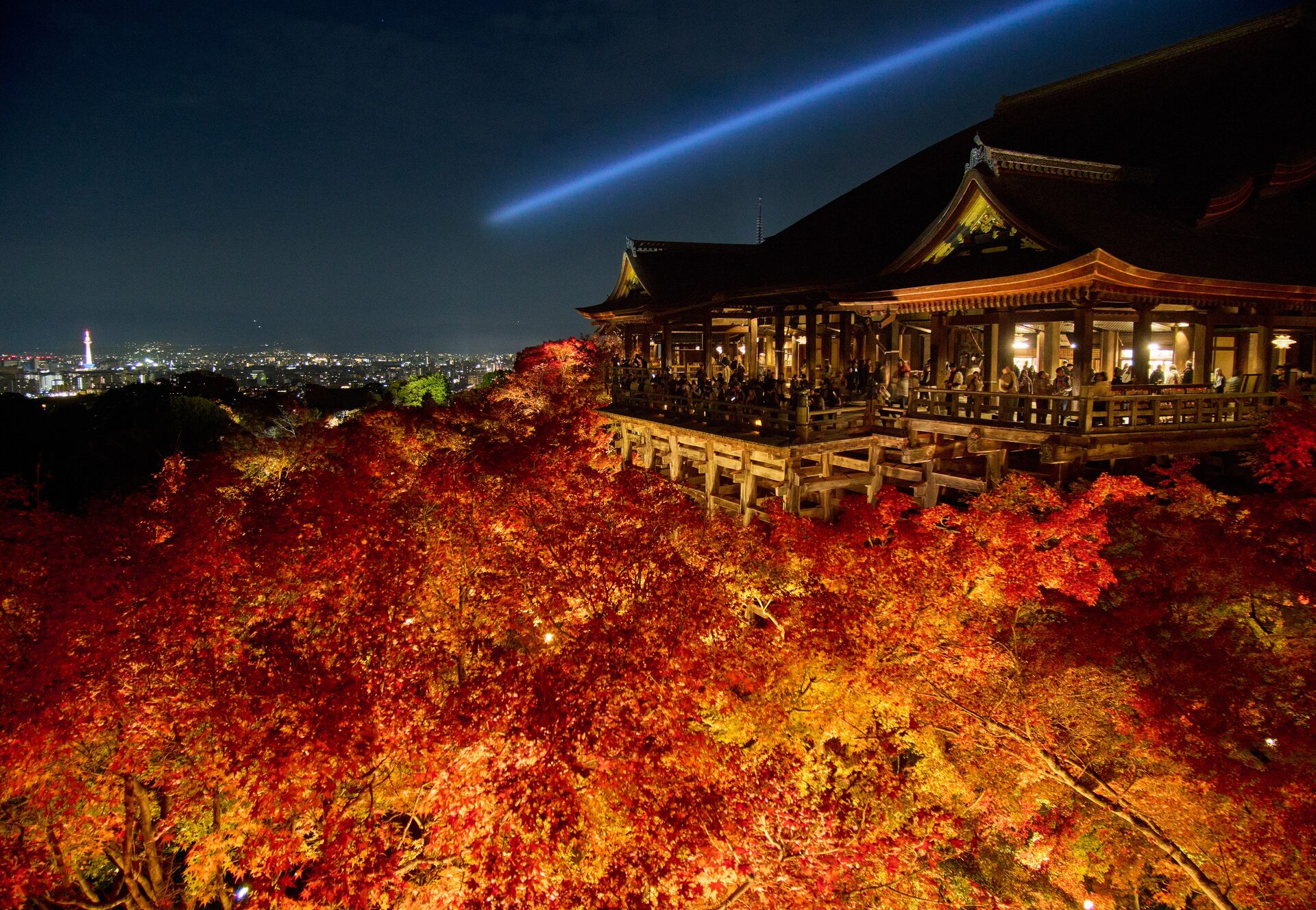 The wooden stage of Kiyomizu-dera lit at night in autumn, with red maples below and Kyoto's lights beyond