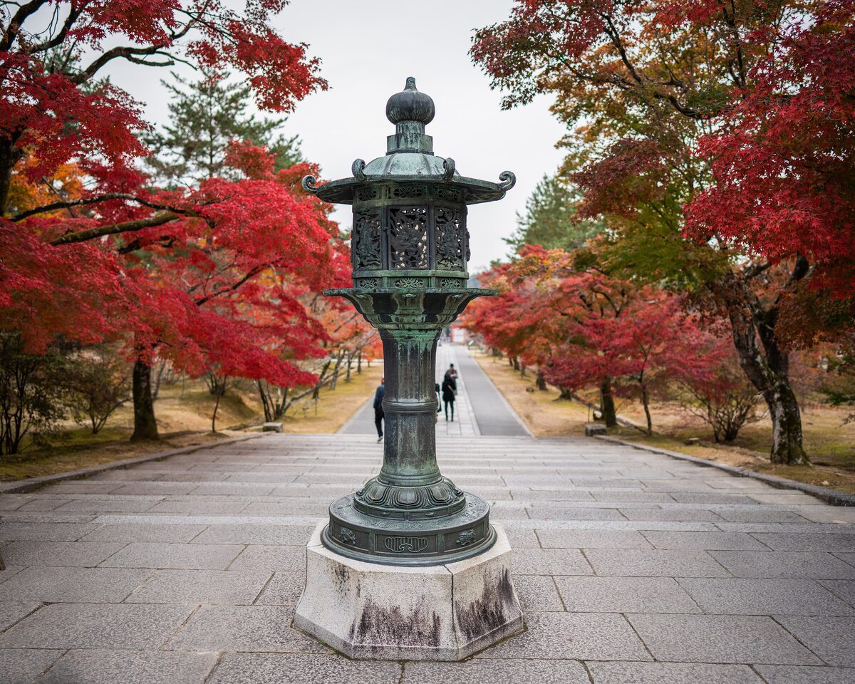 A bronze lantern and red maples lining the stone path to Ninna-ji in autumn