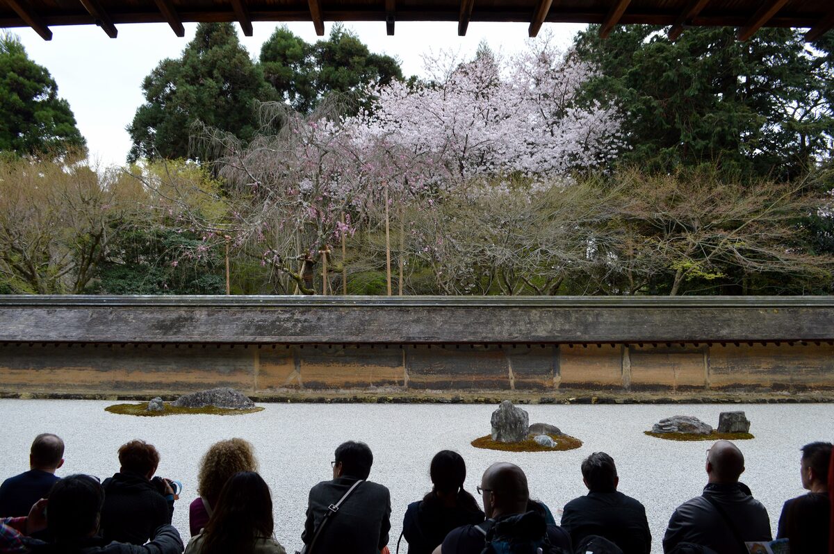 Visitors seated on the veranda of the Ryoan-ji rock garden, with cherry trees in flower behind the wall