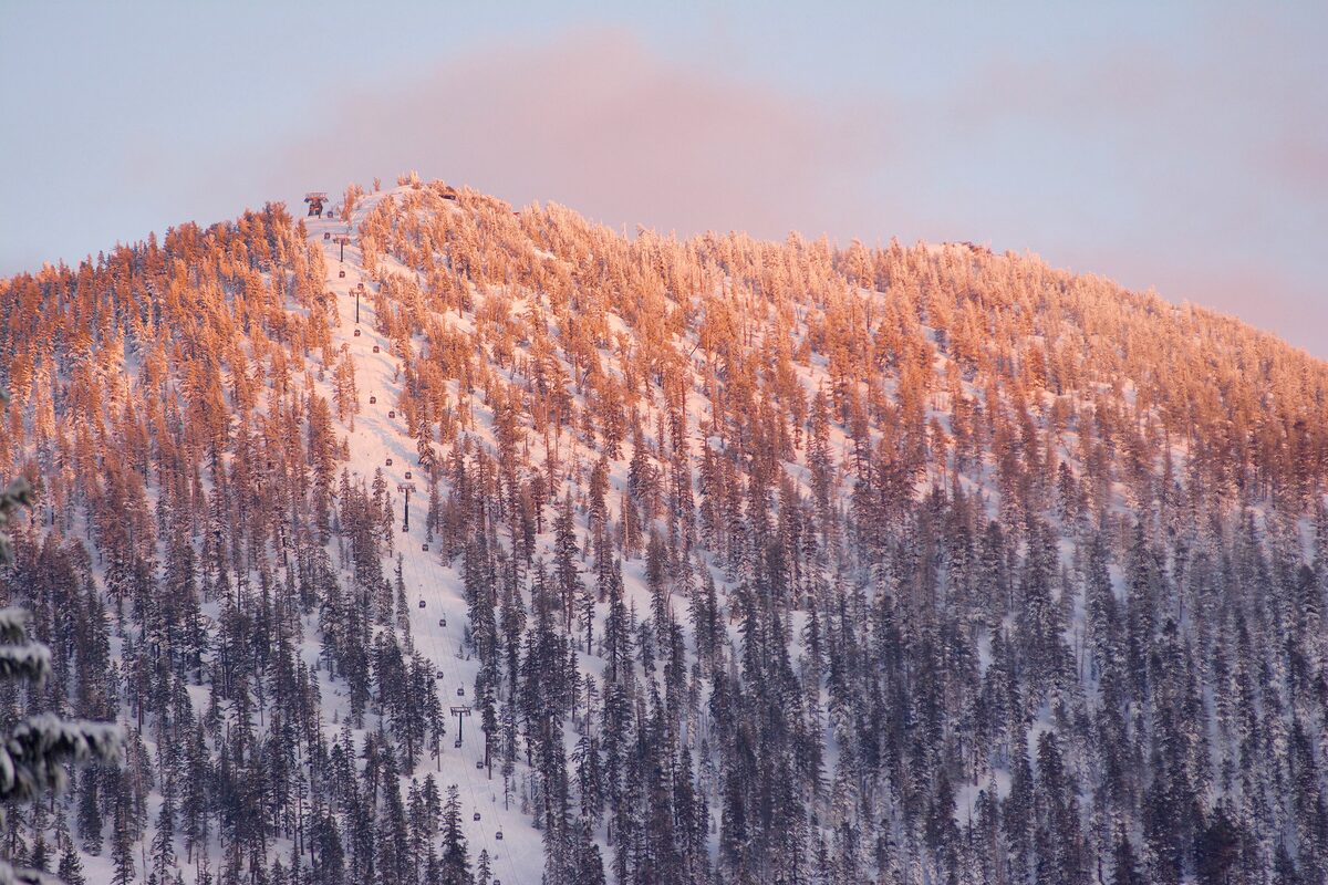 Snow-covered Heavenly runs and pines glowing pink in alpenglow, seen from the top of the gondola