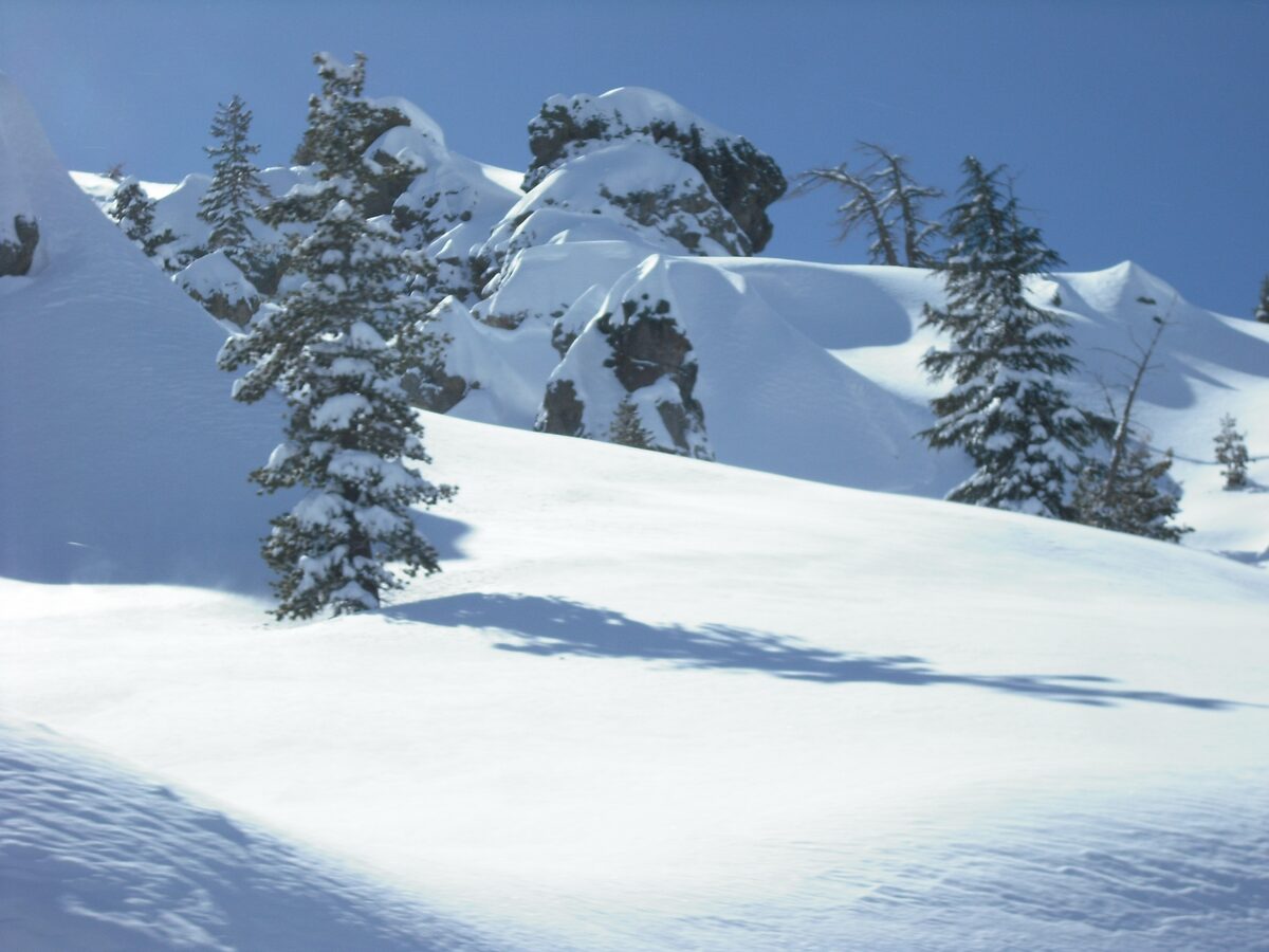 Deep fresh snow on boulders and pines beside Highway 88 near Kirkwood