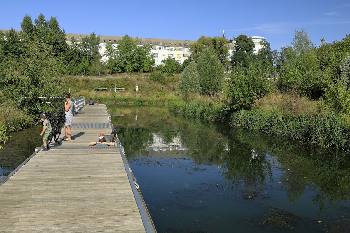 A wooden jetty beside calm green water on a canal in Leipzig, with trees and apartment blocks beyond