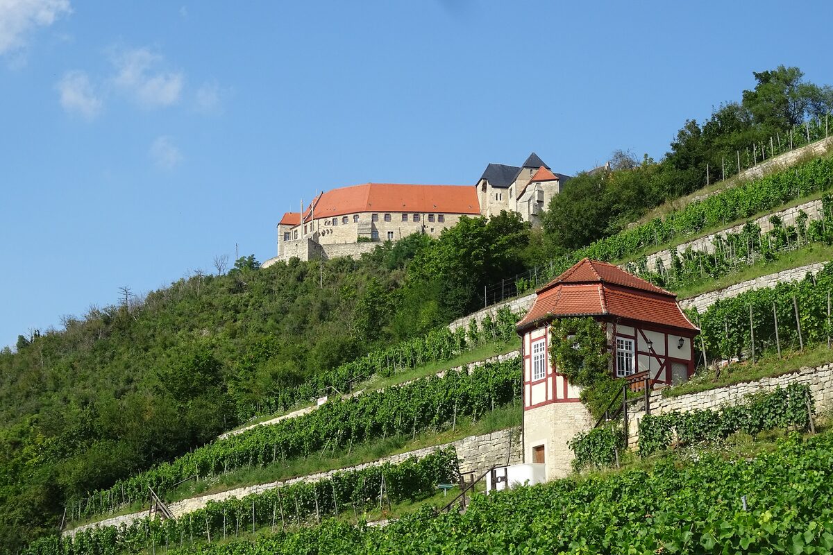 Neuenburg Castle on its hilltop above terraced vineyards and a small half-timbered vineyard house