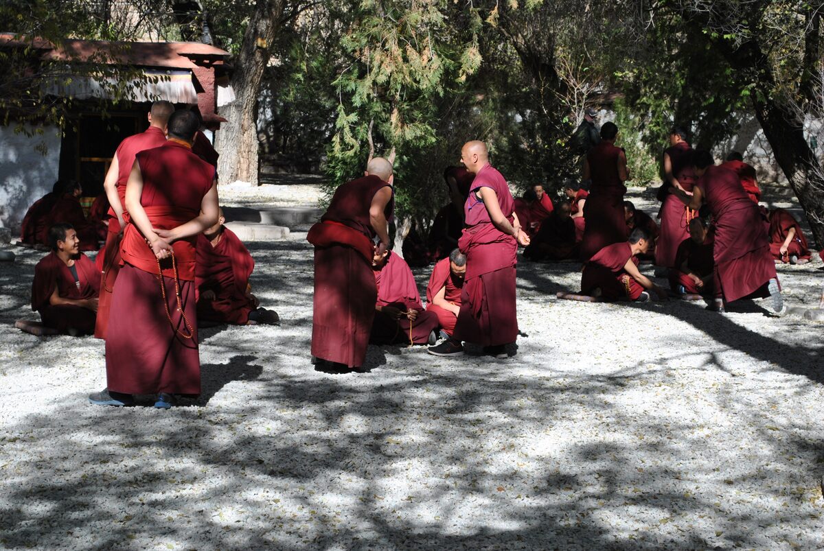 Maroon-robed monks in small groups across the shaded gravel debating courtyard under trees at Sera