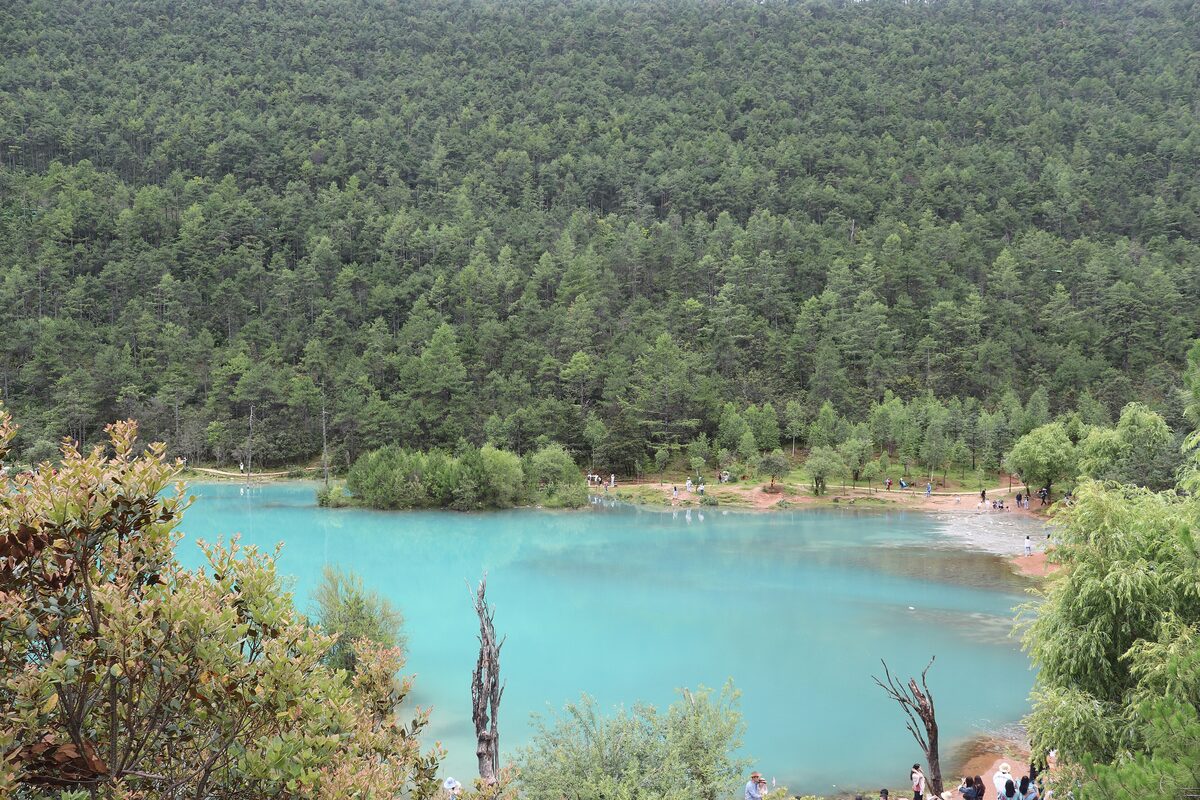 The turquoise pool of Blue Moon Valley below a slope of dense conifer forest