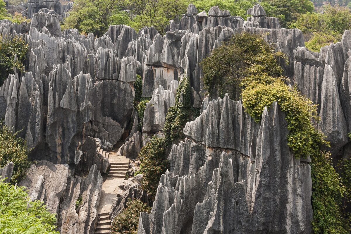 Gray limestone pillars of the Stone Forest with green shrubs among them and a stair path