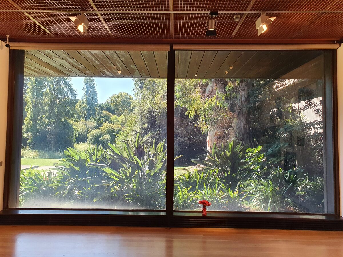 A wall of glass in the Gulbenkian Museum opening onto the lush garden, with palms and tall trees