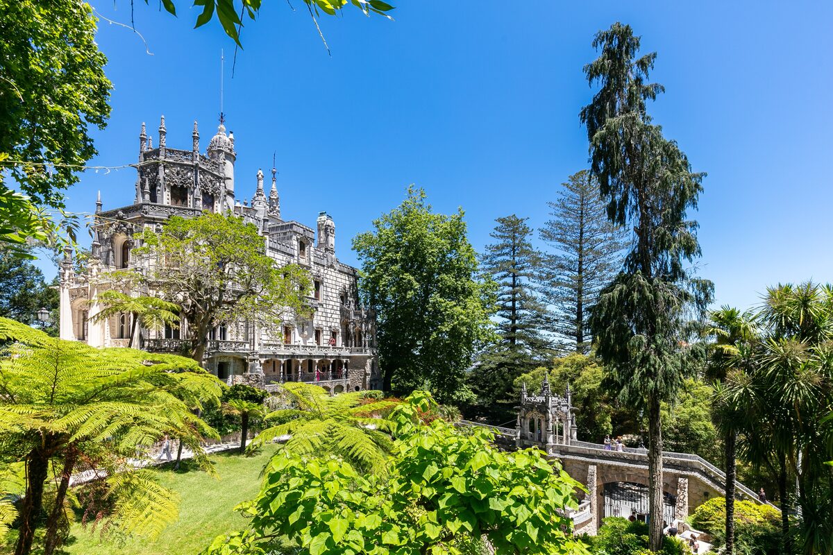 The ornate white facade of Quinta da Regaleira framed by tree ferns and tall pines