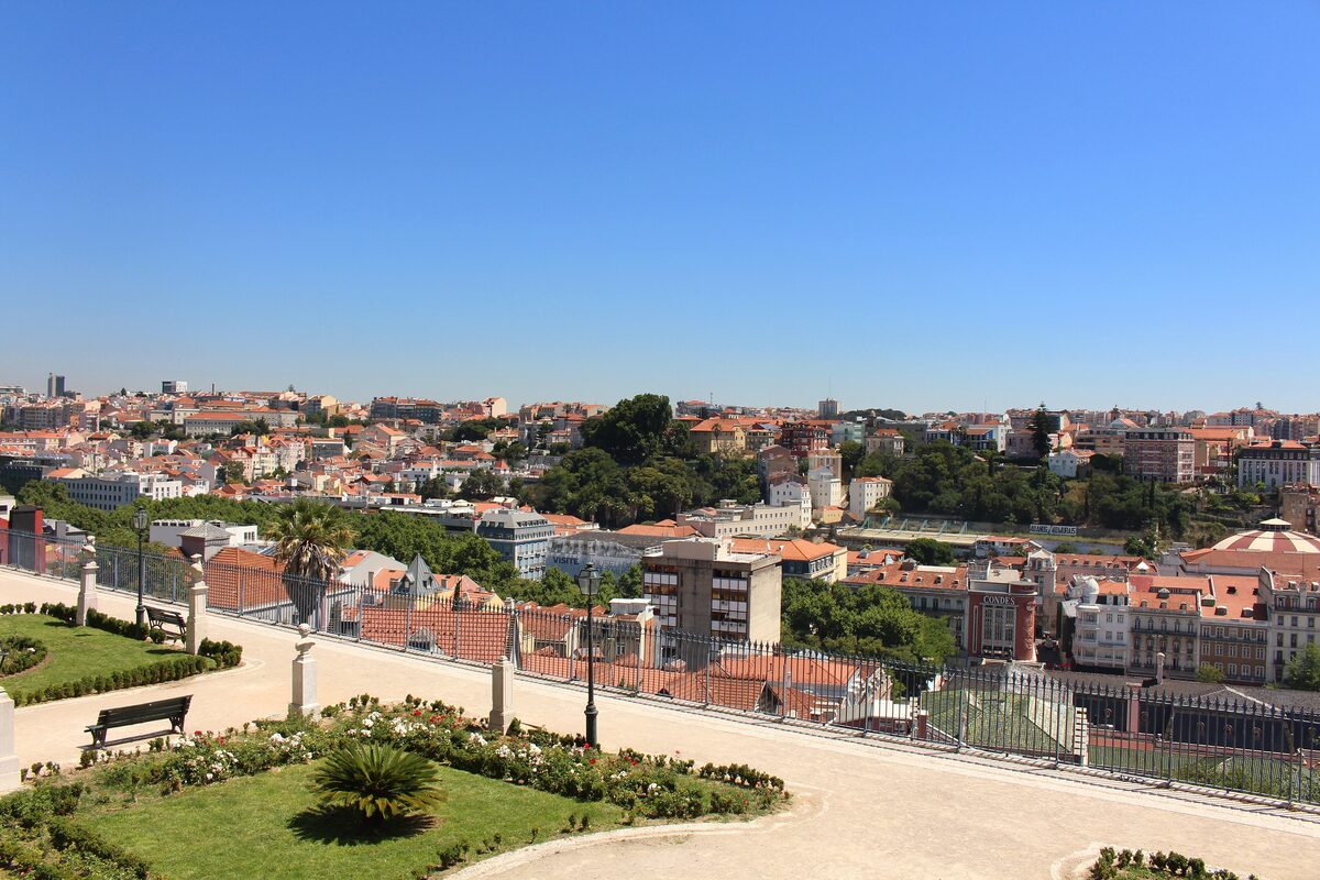 Garden beds and a palm at the São Pedro de Alcântara viewpoint, with the red roofs of the city beyond the terrace wall
