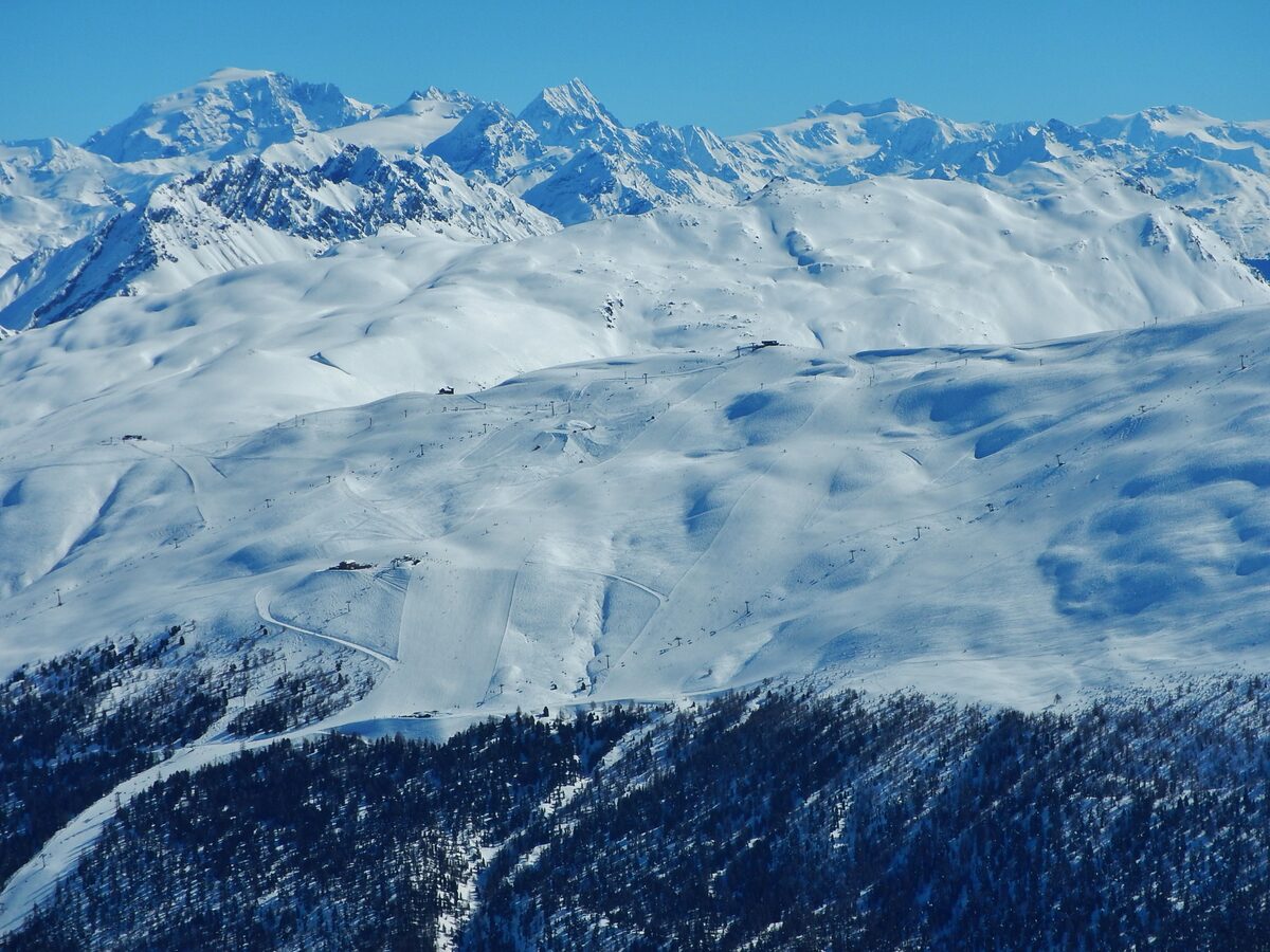 Snow-covered pistes on the Mottolino side, with dark forest below and high peaks beyond